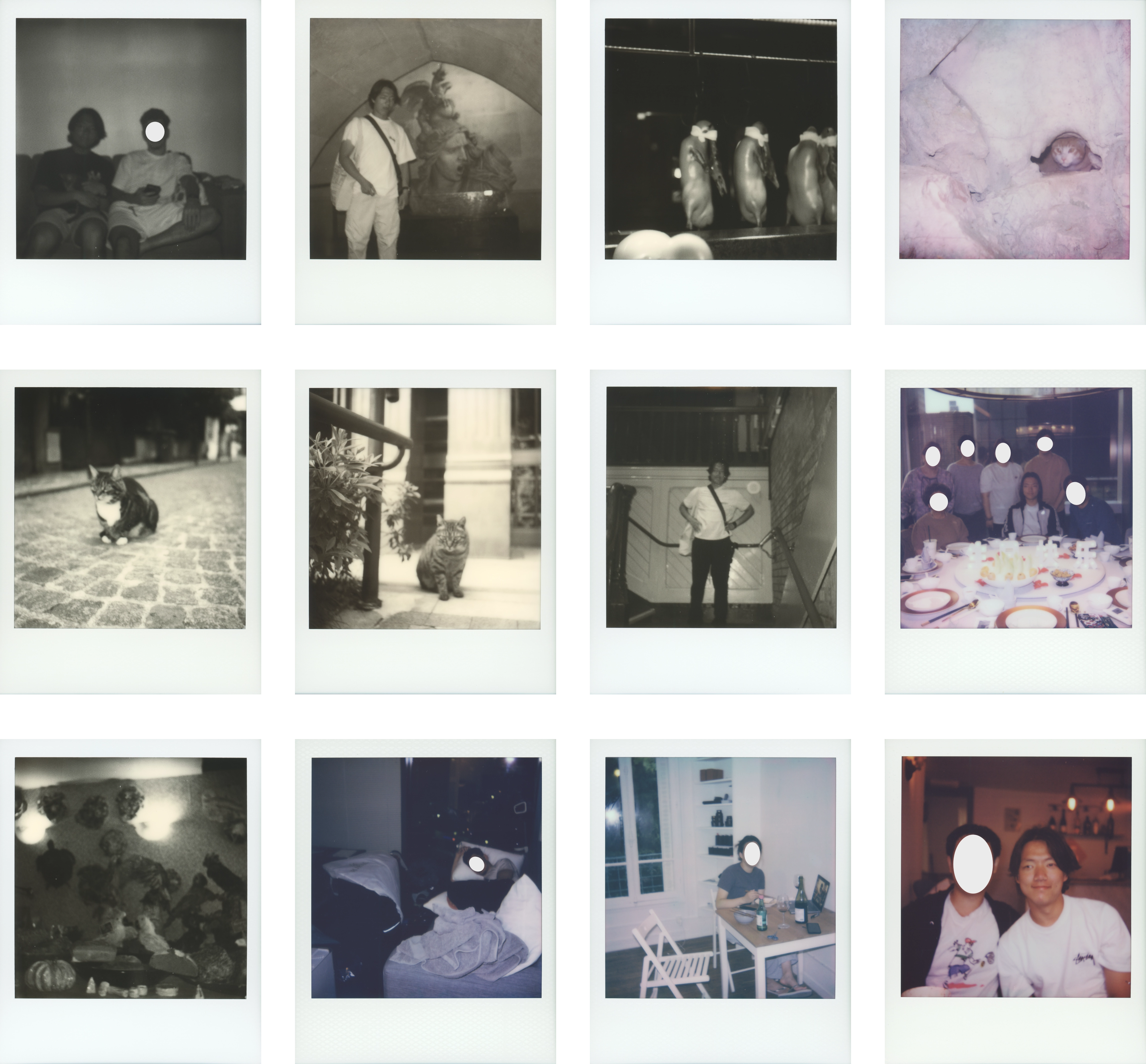 12 example images showing missed focus from the Flip