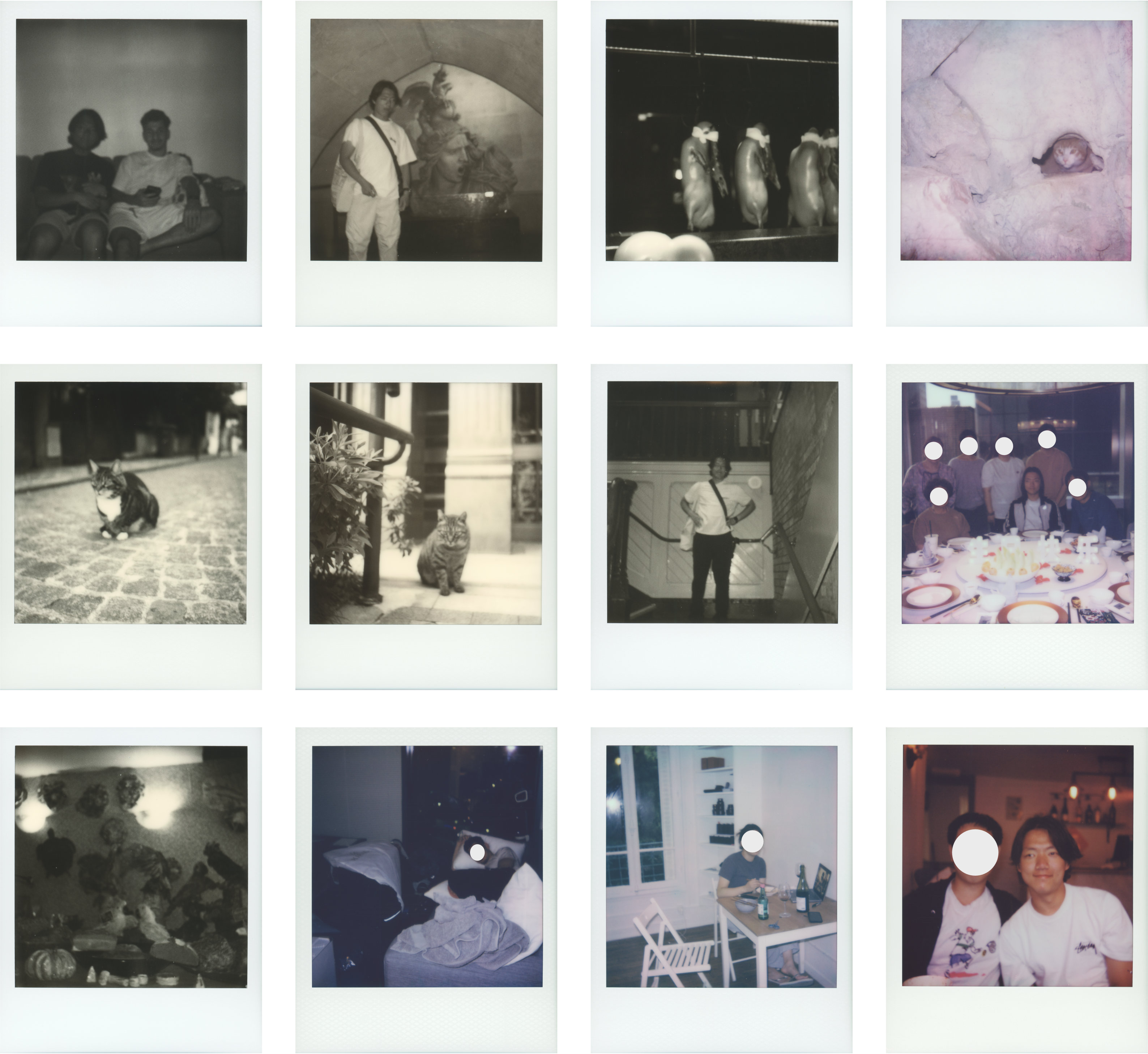 12 example images showing missed focus from the Flip